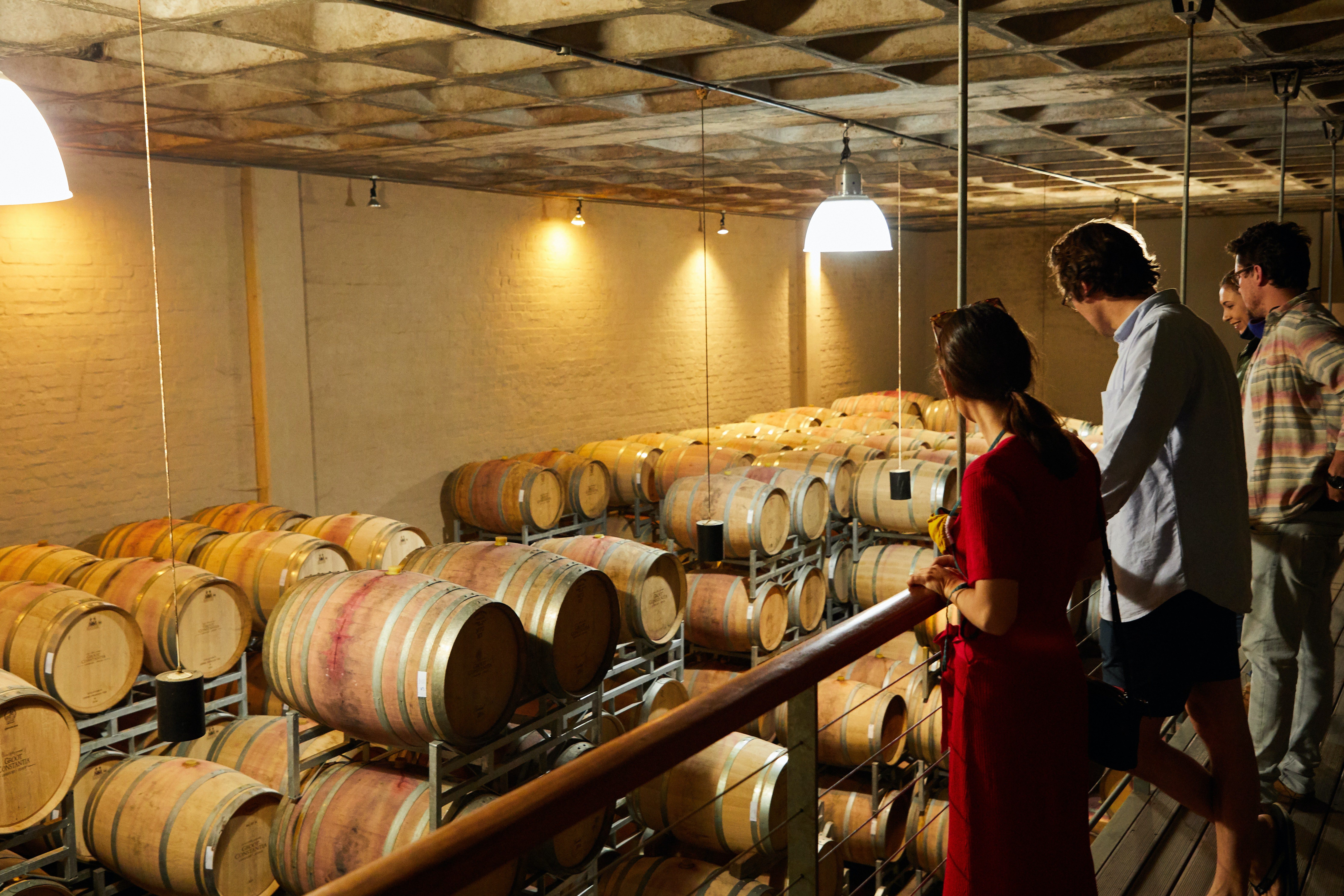 People looking at barrels in the winery