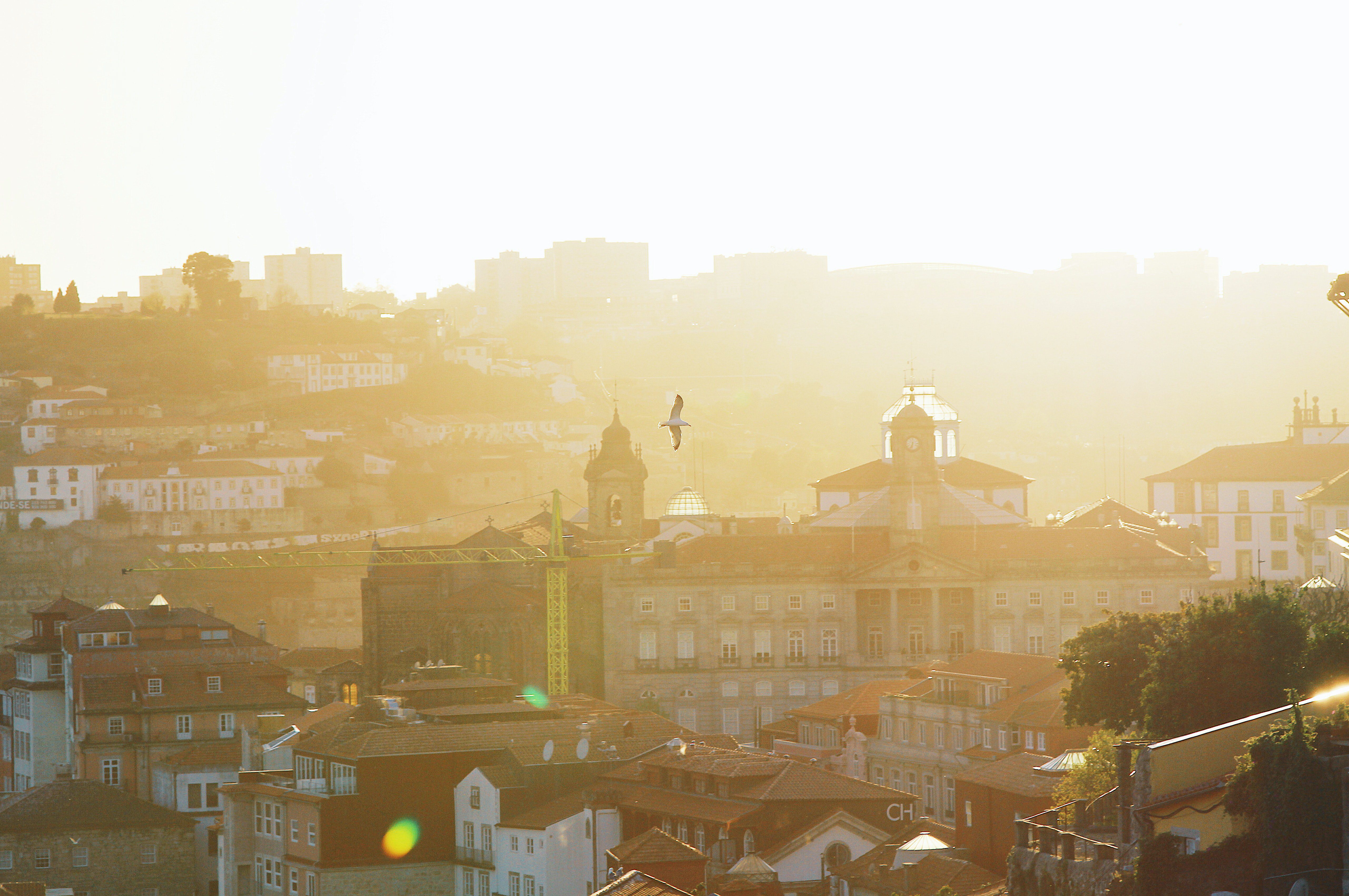 bird's eye view of porto